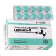 Cenforce D