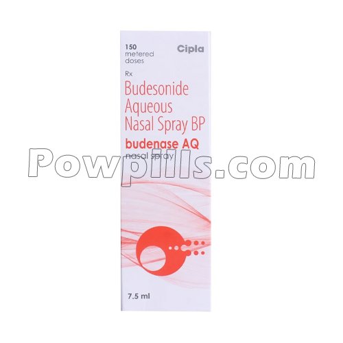 Budenase AQ 100 mcg