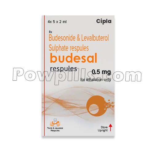 Budesal Respules 0.5 Mg (Budesonide/Levalbuterol)